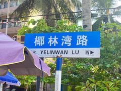 -东郊椰林