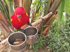 -南宫五洲植物乐园