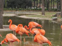 -石家庄市动物园