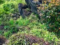 -东天目山风景区