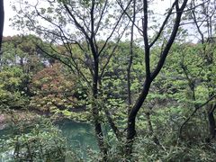 -白马涧龙池景区