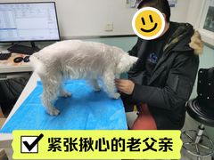 -达爱动物医院·犬猫分区·CT·复杂眼科(远洋山水分院)