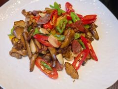 -滇野云南野生菌餐厅(陕西南路店)