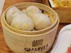 -皇马假日醉海南大酒店·假日一品派茶楼(秀英店)