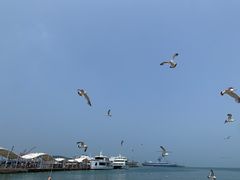 -海驴岛(荣成市)