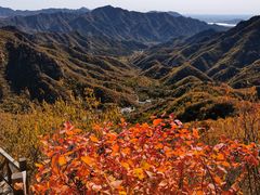 -大岭沟猕猴桃谷风景区