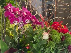 -春暖花开(西溪店)