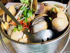 -渔娘渔家丹东海鲜(东直门店)