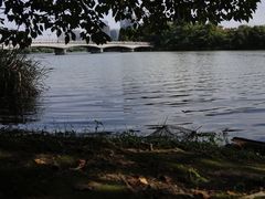 -绍兴镜湖国家城市湿地公园