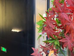 -RUMI日弥美容会所