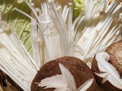 -同仁四季椰子鸡(福田东园总店)