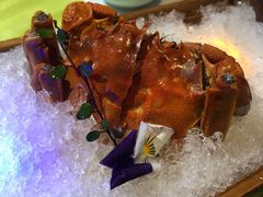 -荷风细雨·中国茶宴(碧云店)