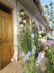 -DORA kids 朵拉儿童摄影花园店