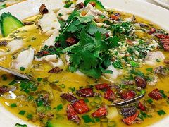 老坛酸菜鱼-老广新意(奥园店)