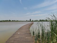 -盐城丹顶鹤湿地生态旅游区