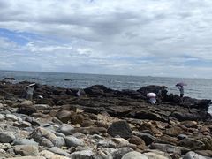 -西涌国际滨海旅游区