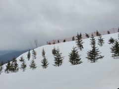 -鳌山滑雪度假区