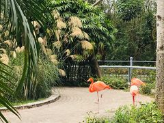 -广东茂名森林公园
