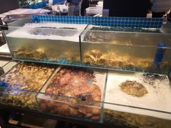 -喜多鲜生海鲜自助(无锡旗舰店)