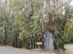 -云南勐巴娜西珍奇园
