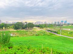 -白鹭湾湿地公园