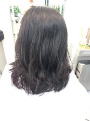 -环球蝶上美业连锁