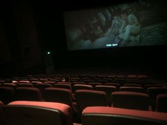 -武汉华夏国际影城(鲁广店)