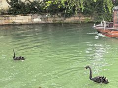 -通安客栈中餐厅·何家小馆