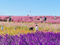 -上海滨江森林公园