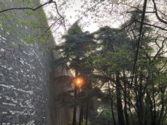 -紫金山山顶公园
