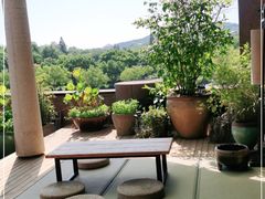 -青藤茶馆(凤起路店)