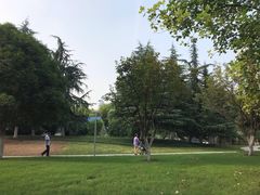 -西北湖绿化广场