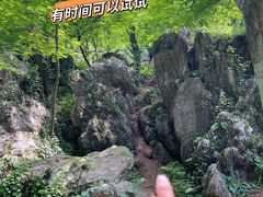 -老山国家森林公园