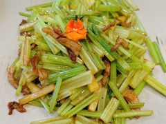 -鸢飞潍坊菜馆(鸢飞大酒店)