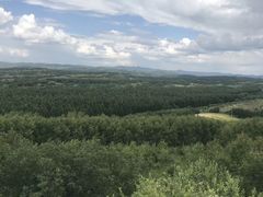 -塞罕坝国家级自然保护区