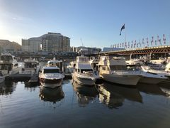 -I'm Angus Steakhouse