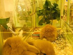 -龙猫仔乐园(惠福东路店)