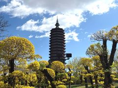 -西海子公园