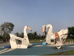 -桂溪生态公园