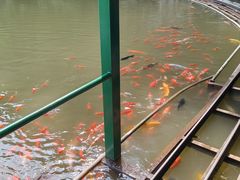 -陶祖圣境风景区