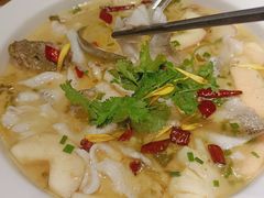 -花溪雨·森林餐厅(石基店)