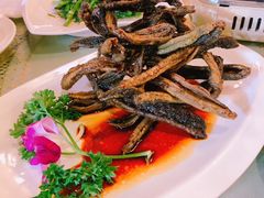 -新聚丰菜馆(太监弄店)