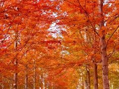 -芬芳四季养生会所(西溪店)