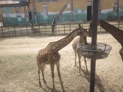 -鄂尔多斯野生动物园