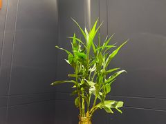 -双湖宴·湖北菜(文化路店)