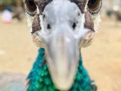 -韶关经律论国际酒店温泉