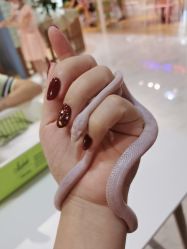 -Moni星球萌宠·小马宝莉·灵蛇·高端高阶全萌宠互动体验俱乐部(红豆国际广场店)