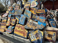 -护国法轮寺
