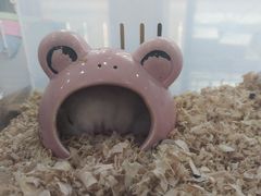 -素满香·食养自助(建邺万达店)