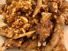 酱爆掌翼-先记烧鹅王·本地粤菜(福永店)